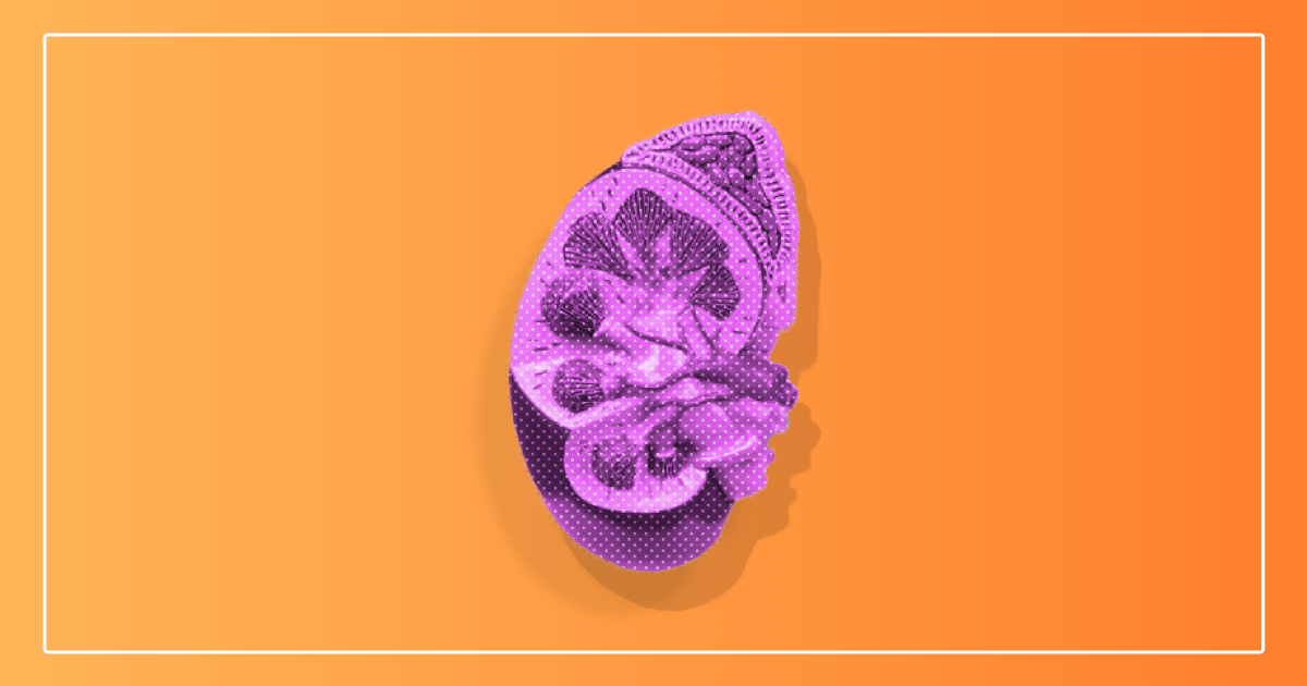 Prop 8 California Propositions 2018 ballot.fyi